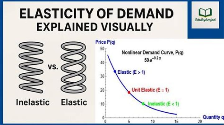 Does gas have an elastic demand?