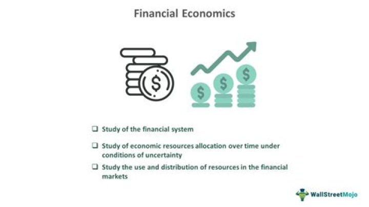 Is finance an economics?