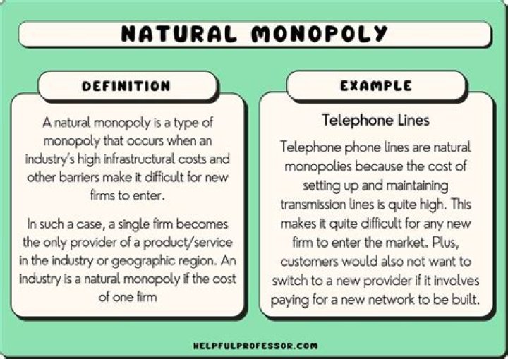 What are some examples of natural monopolies?