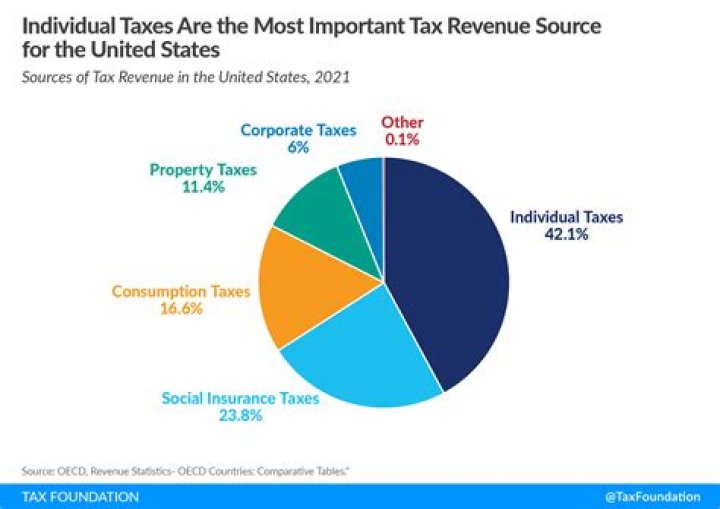 What are the main sources of government revenue?