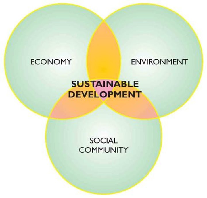 What does the term sustainable economic development mean?
