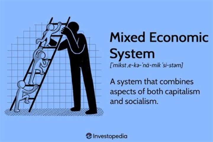 What is the meaning of a mixed economy?