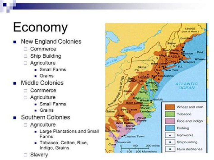 What were the colonies economy based on?