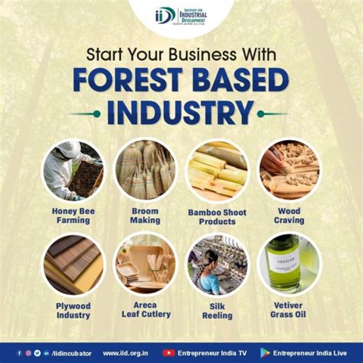 Which is the forest based consumer goods industry?